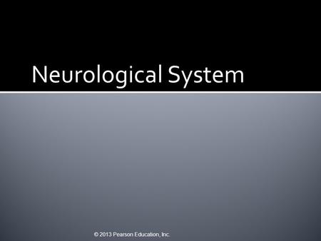 Neurological System © 2013 Pearson Education, Inc.