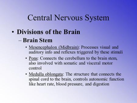Central Nervous System Divisions of the Brain –Brain Stem Mesencephalon (Midbrain): Processes visual and auditory info and reflexes triggered by these.
