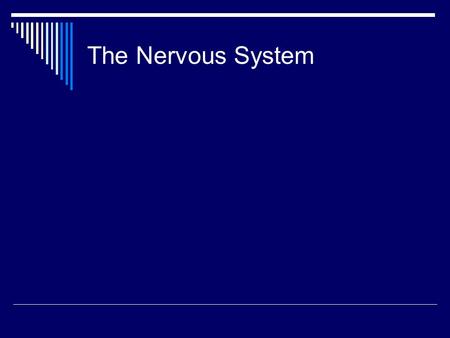 The Nervous System. To return to the chapter summary click escape or close this document. Human Nervous System.