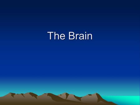 The Brain. Divisions Cerebrum Diencephalon Brainstem Cerebellum.