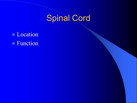 Spinal Cord Location Function.