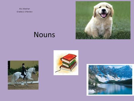 Nouns Ms. Meehan Grades 1-3 Review. What is a Noun? A noun is a person, place, thing or idea. In other words, nouns can be animals, people, or thoughts.