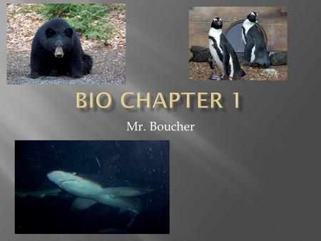 Mr. Boucher. 1 – What is science A – a methodology of thinking B – a way of researching the physical world C – a body of knowledge 2 – Only with all three.