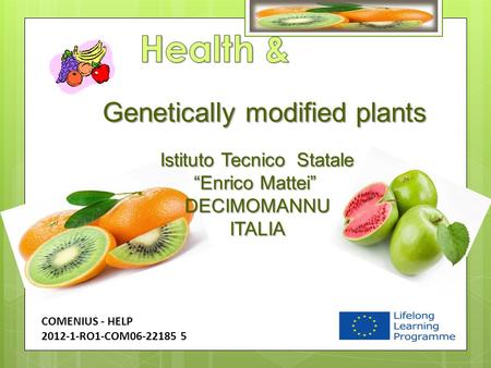 Genetically modified plants Istituto Tecnico Statale “Enrico Mattei” DECIMOMANNU DECIMOMANNU ITALIA ITALIA COMENIUS - HELP 2012-1-RO1-COM06-22185 5.