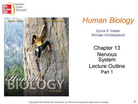 Human Biology Sylvia S. Mader Michael Windelspecht