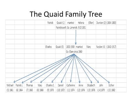 The Quaid Family Tree. Michael Quaid 1861 - 1929.