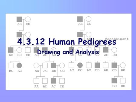 4.3.12 Human Pedigrees Drawing and Analysis. Genetic Counseling Helping individuals and prospective parents Your learning gives you the opportunity to.