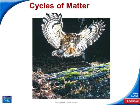 End Show Slide 1 of 33 Copyright Pearson Prentice Hall Cycles of Matter.