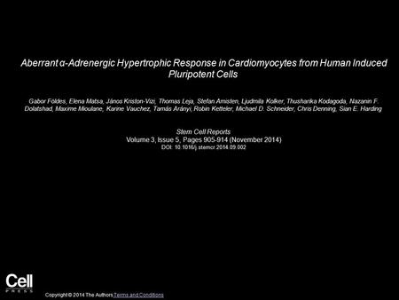 Aberrant α-Adrenergic Hypertrophic Response in Cardiomyocytes from Human Induced Pluripotent Cells Gabor Földes, Elena Matsa, János Kriston-Vizi, Thomas.