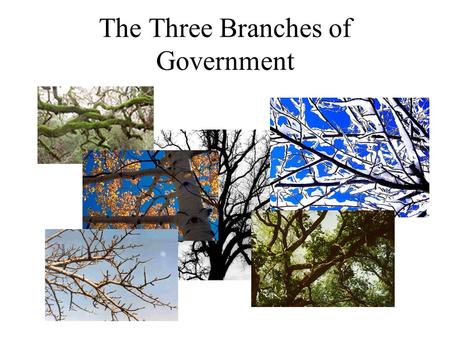 The Three Branches of Government. The Legislative Branch The Legislative Branch is called Congress Congress is made up of two houses Senate House of Representatives.