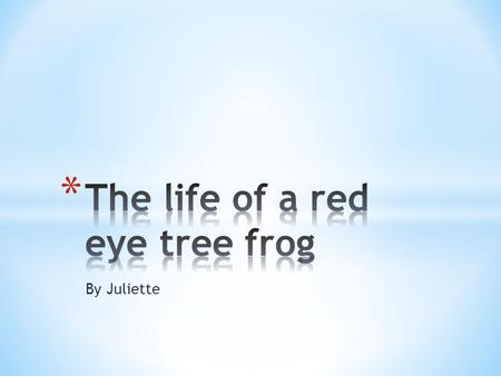 By Juliette. I am a red eye tree frog In this book you will lean all about me. I waned to write a book I am so awesome!! I am not like other frogs.