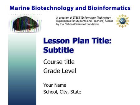 A program of ITEST (Information Technology Experiences for Students and Teachers) funded by the National Science Foundation Lesson Plan Title: Subtitle.