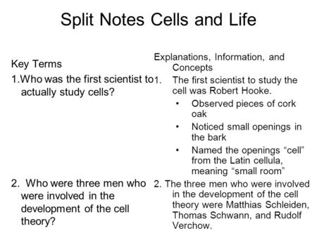 Split Notes Cells and Life Key Terms 1.Who was the first scientist to actually study cells? 2. Who were three men who were involved in the development.