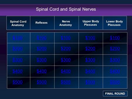 Spinal Cord and Spinal Nerves $100 $200 $300 $400 $500 $100$100$100 $200 $300 $400 $500 Spinal Cord Anatomy FINAL ROUND Reflexes Nerve Anatomy Upper Body.