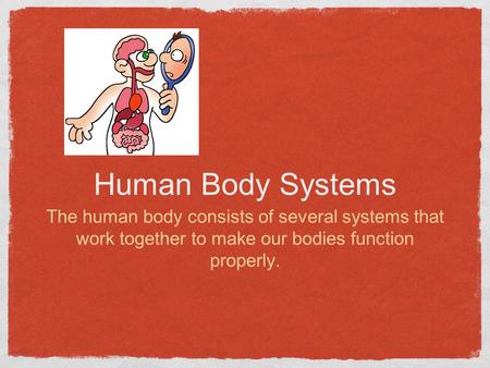 Human Body Systems The human body consists of several systems that work together to make our bodies function properly.