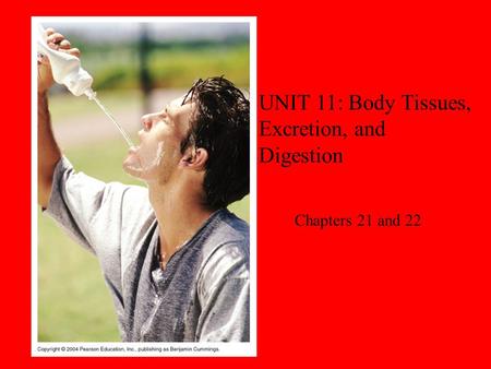 UNIT 11: Body Tissues, Excretion, and Digestion Chapters 21 and 22.