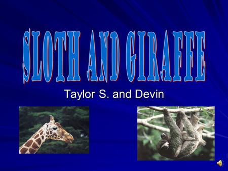 Taylor S. and Devin Mammals There are five different groups of animals with vertebrates. Reptiles Fish Amphibians Birds.