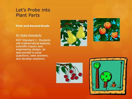 Let’s Probe into Plant Parts First and Second Grade NY State Standards MST Standard 1: Students will mathematical analysis, scientific inquiry and engineering.