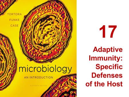 17 Adaptive Immunity: Specific Defenses of the Host.