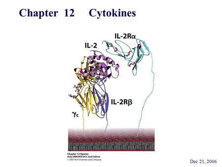 Chapter 12 Cytokines Dec 21, 2006.