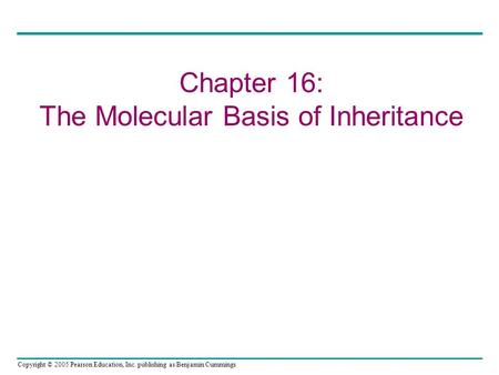 Copyright © 2005 Pearson Education, Inc. publishing as Benjamin Cummings Chapter 16: The Molecular Basis of Inheritance.