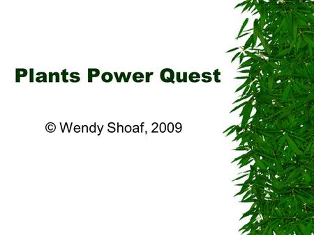 Plants Power Quest © Wendy Shoaf, 2009. Life Cycle 2  Click here to answer questions 1-4 on your answer sheet.here.