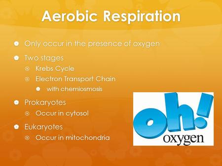 Aerobic Respiration Only occur in the presence of oxygen Two stages