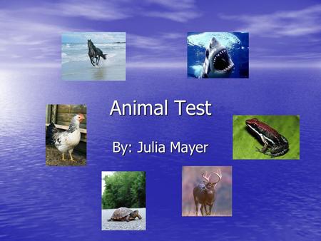 Animal Test By: Julia Mayer.
