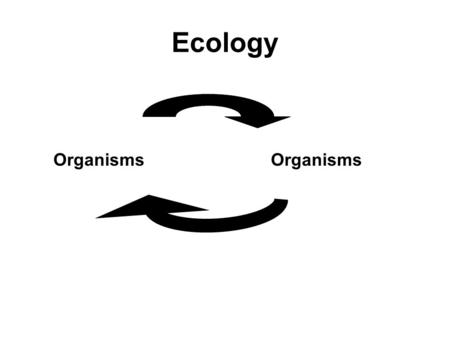 Ecology Organisms. Niche It is an organisms role in the community. It includes: –what it eats –What eats it –What and how much resources it uses Can you.