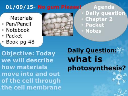 Objective: Today we will describe how materials move into and out of the cell through the cell membrane Materials Pen/Pencil Notebook Packet Book pg 48.