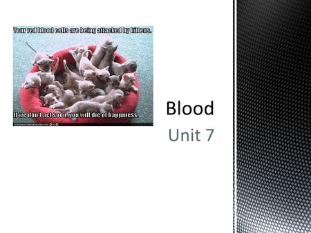 Unit 7.  Considered a tissue because of all the different cells  Has 3 main functions:  Transport  Regulation  Protection.