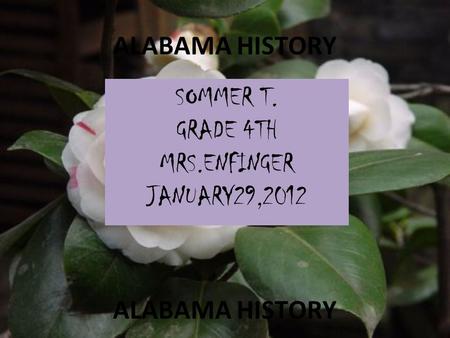 ALABAMA HISTORY SOMMER T. GRADE 4TH MRS.ENFINGER JANUARY29,2012.