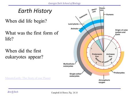 Earth History When did life begin? What was the first form of life?