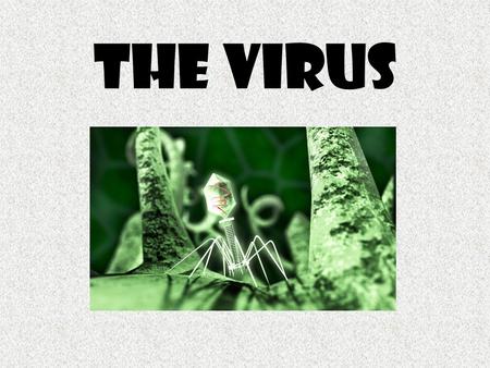 The virus. “For about 100 years, the scientific community has repeatedly changed its collective mind over what viruses are. First seen as poisons, then.