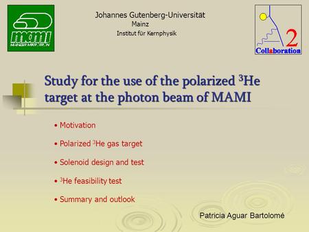 Motivation Polarized 3 He gas target Solenoid design and test 3 He feasibility test Summary and outlook Johannes Gutenberg-Universit ä t Mainz Institut.