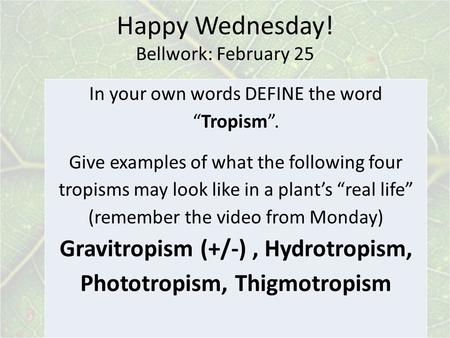 Happy Wednesday! Bellwork: February 25 In your own words DEFINE the word “Tropism”. Give examples of what the following four tropisms may look like in.