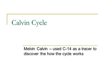 Calvin Cycle Melvin Calvin – used C-14 as a tracer to discover the how the cycle works.