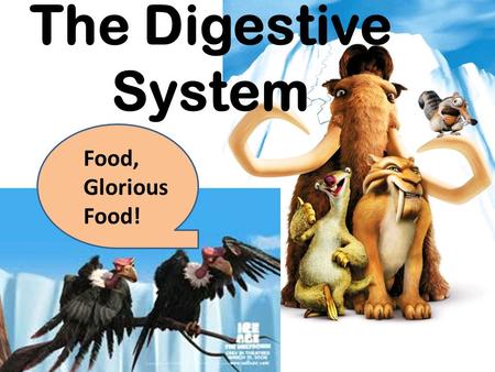 The Digestive System Food, Glorious Food!. Functions Take in food  ingestion Physical & chemical break down of food  digestion Absorption of nutrients.