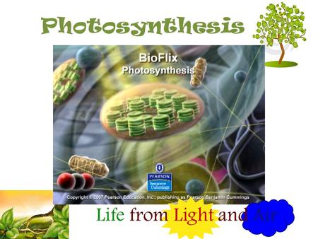 Photosynthesis Life from Light and Air Obtaining the materials – sunlight leaves = solar collectors – CO 2 stomates = gas exchange –H2O–H2O uptake from.