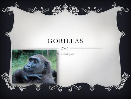GORILLAS By TerriLynne  They have black fur.  Gorillas weigh 200 to 400 pounds.  A gorillas height is 165 to 175. DESCRIPTION.
