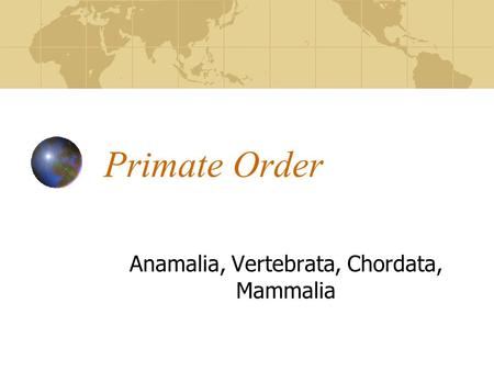 Primate Order Anamalia, Vertebrata, Chordata, Mammalia.