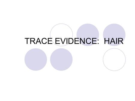 TRACE EVIDENCE: HAIR. Anatomy of a Hair Cortex  Largest portion of the shaft  Contains hair pigment Cuticle  Layer of cells that cover the surface.