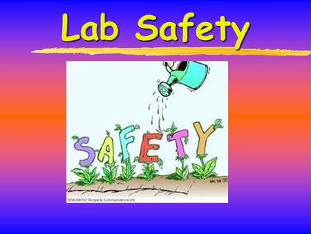 Lab Safety. Introduction 1.A chemical lab is potentially hazardous environment 2.Accident and injury can happen anytime 3.Lab safety is everyone’s responsibility.