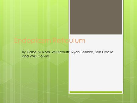 Endoplasm Reticulum By Gabe Mukobi, Will Schultz, Ryan Behnke, Ben Cooke and Wes Colvin!