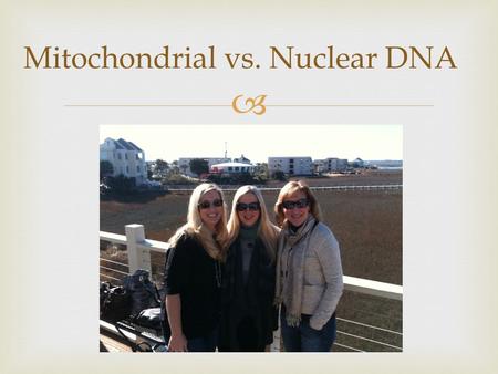 Mitochondrial vs. Nuclear DNA