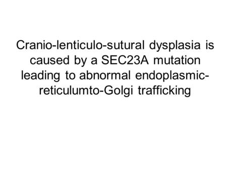 Cranio-lenticulo-sutural dysplasia is caused by a SEC23A mutation leading to abnormal endoplasmic-reticulumto-Golgi trafficking.