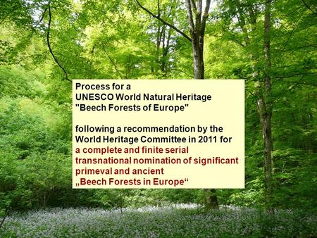 Process for a UNESCO World Natural Heritage Beech Forests of Europe following a recommendation by the World Heritage Committee in 2011 for a complete.