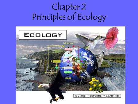 Chapter 2 Principles of Ecology. I. Organisms and their environments Main Idea: The interactions of biotic & abiotic factors in a community or ecosystem.