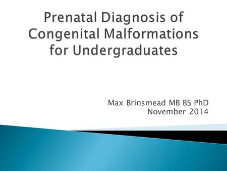 Prenatal Diagnosis of Congenital Malformations for Undergraduates
