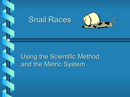 Snail Races Snail Races Using the Scientific Method and the Metric System.